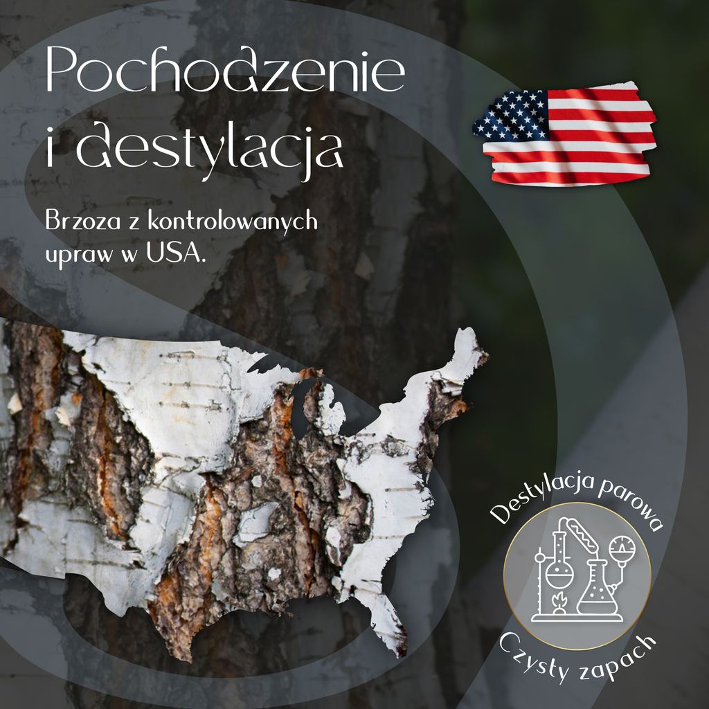 Olejek Eteryczny Brzoza