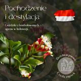 Olejek Eteryczny Goździk 5