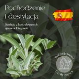 Olejek Eteryczny Szałwia 5