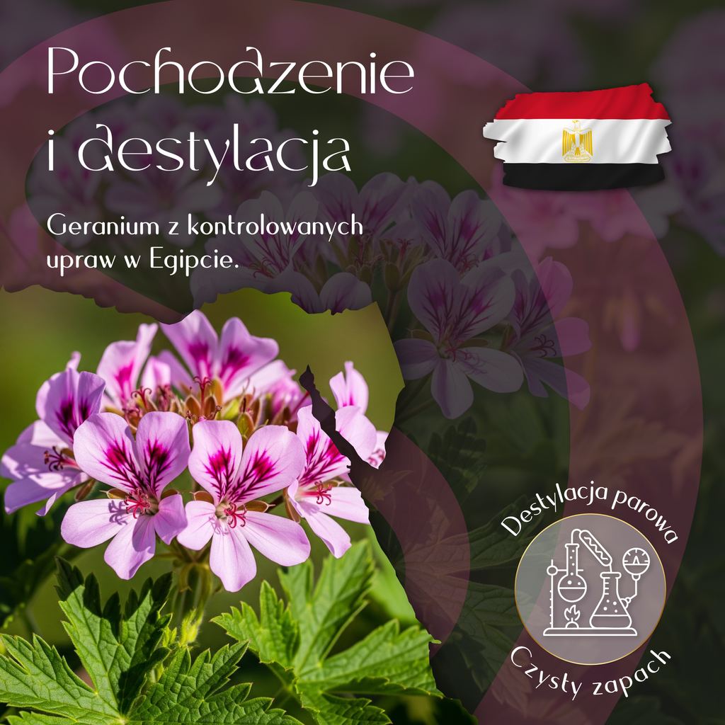 Olejek Eteryczny Geranium