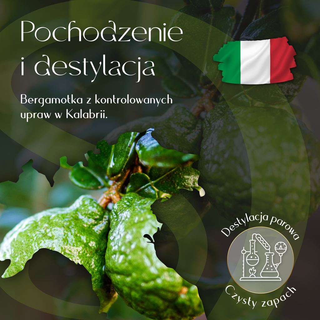 Olejek Eteryczny Bergamotka