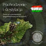 Olejek Eteryczny Sosna 5