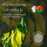 Olejek Eteryczny Ylang Ylang 5