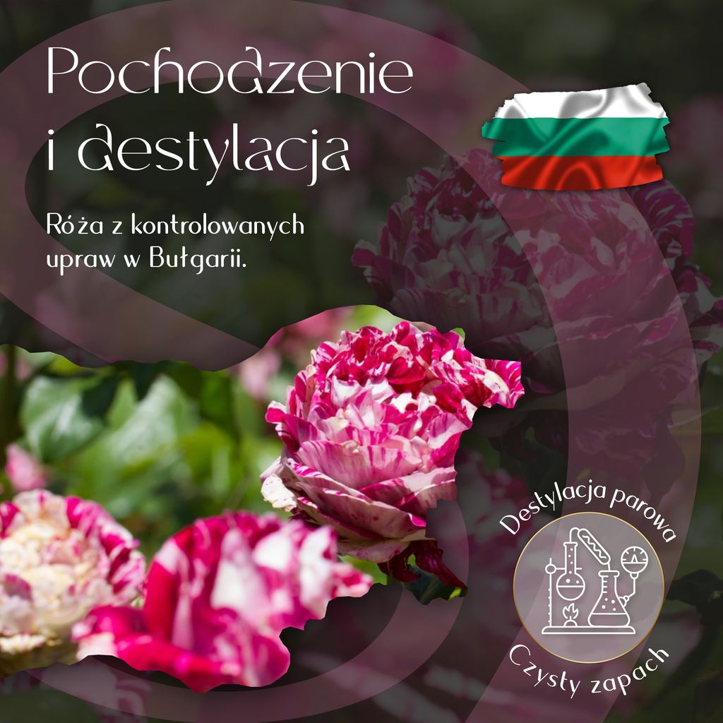 Olejek Eteryczny Róża