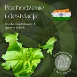 Olejek Eteryczny Bazylia 5