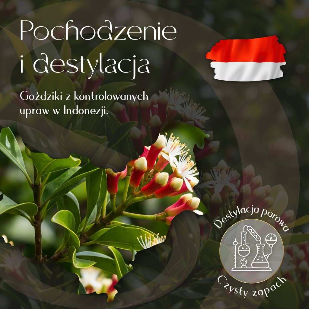 Olejek Eteryczny Goździk