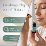 Olejek Eteryczny Eukaliptus 3