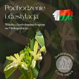 Olejek Eteryczny Wanilia 5