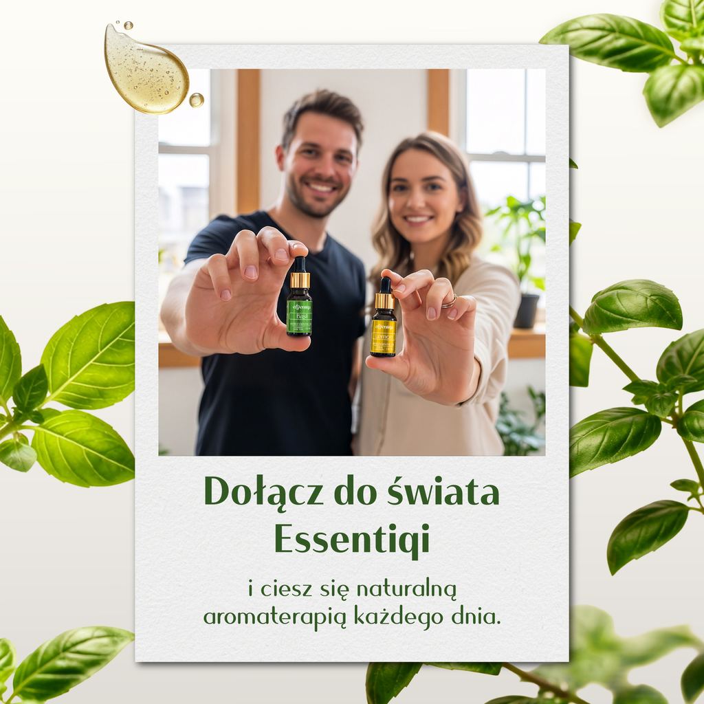 Olejek Eteryczny Bazylia