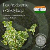 Olejek Eteryczny Tymianek 5