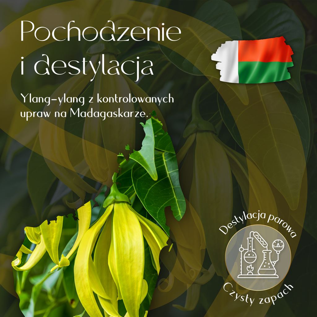 Olejek Eteryczny Ylang Ylang