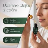 Olejek Eteryczny Cedr 3