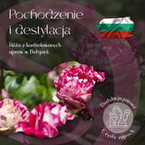 Olejek Eteryczny Róża 5